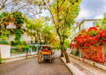 Büyükada'ya Gidecekler İçin Seyahat İpuçları