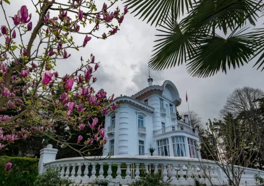 Karadeniz Turlari 12