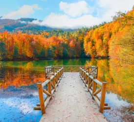 Yedigöller Fotoğraf Turu