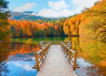 Yedigöller Fotoğraf Turu