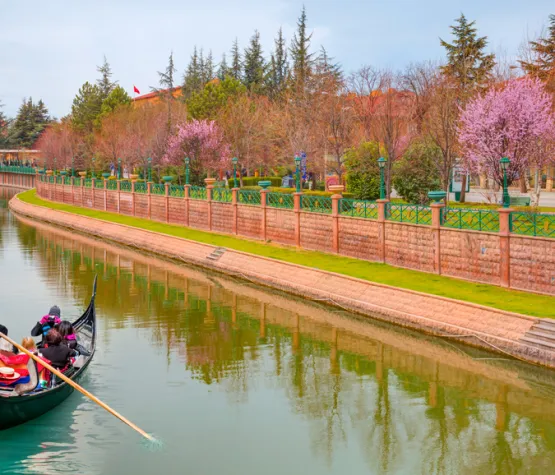 Eskisehir Odun Pazari Turu Fiyatlari