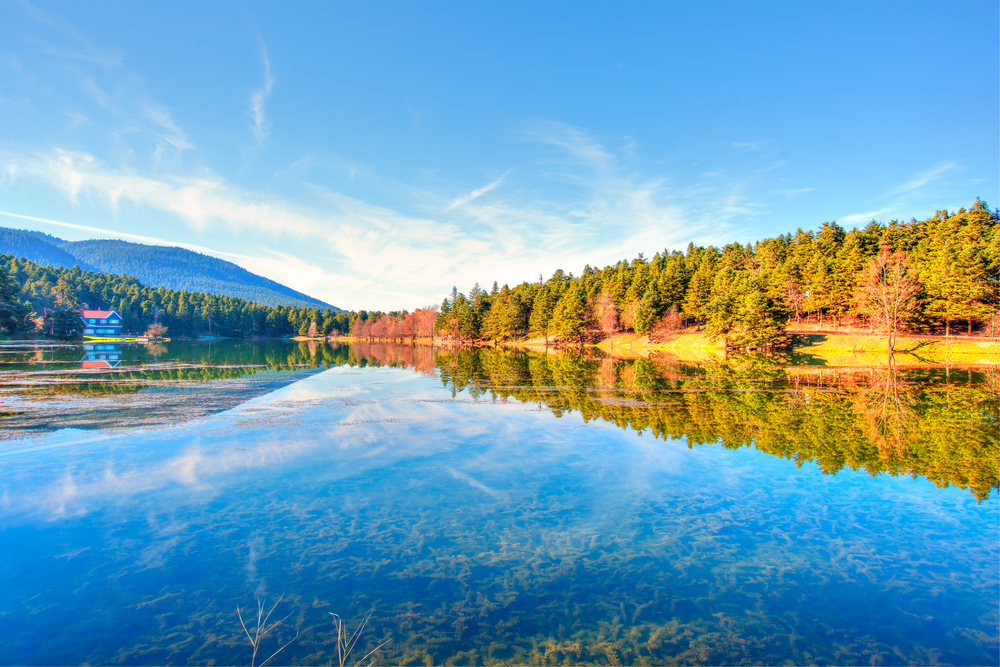 Gunubirlik Abant Golcuk Turu