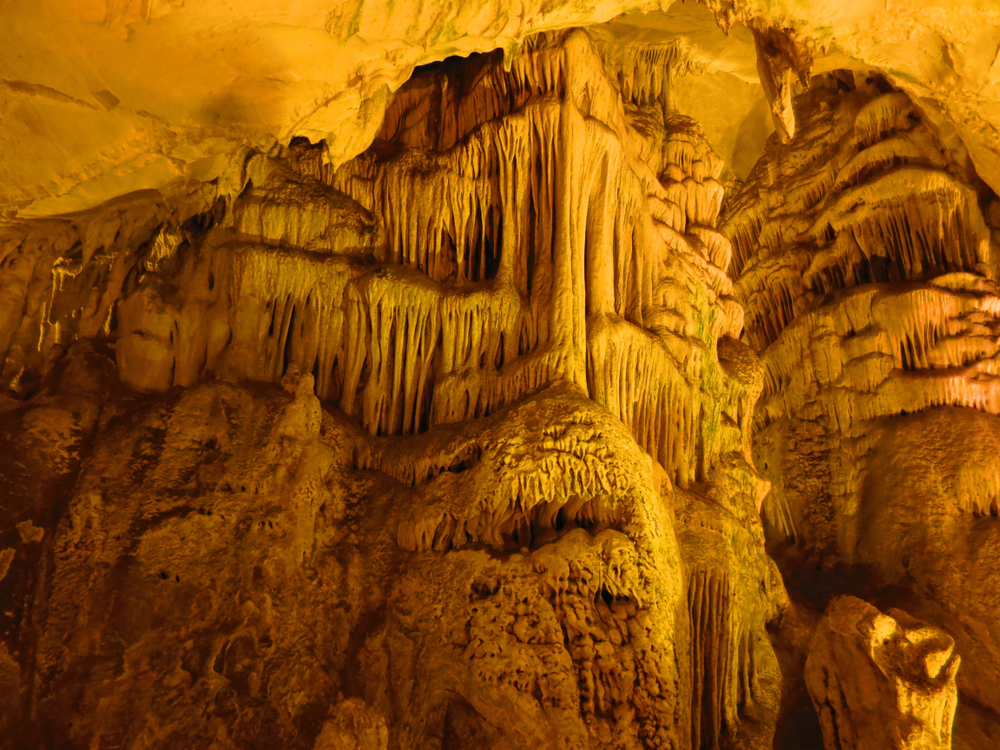 Gunubirlik Kiyikoy Igneada Longoz Ormanlari Turu