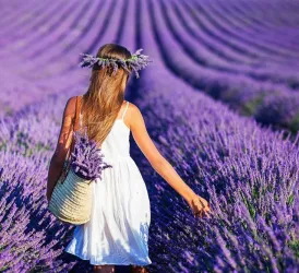 Isparta Lavanta Festivali Turu