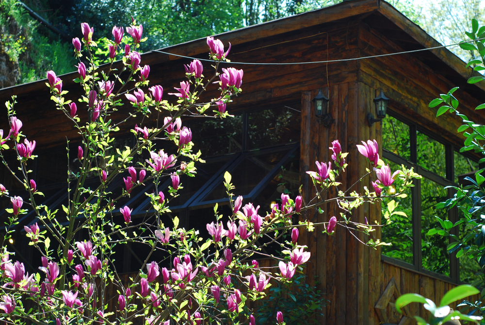 Kartepe Turu Otobuslu 1