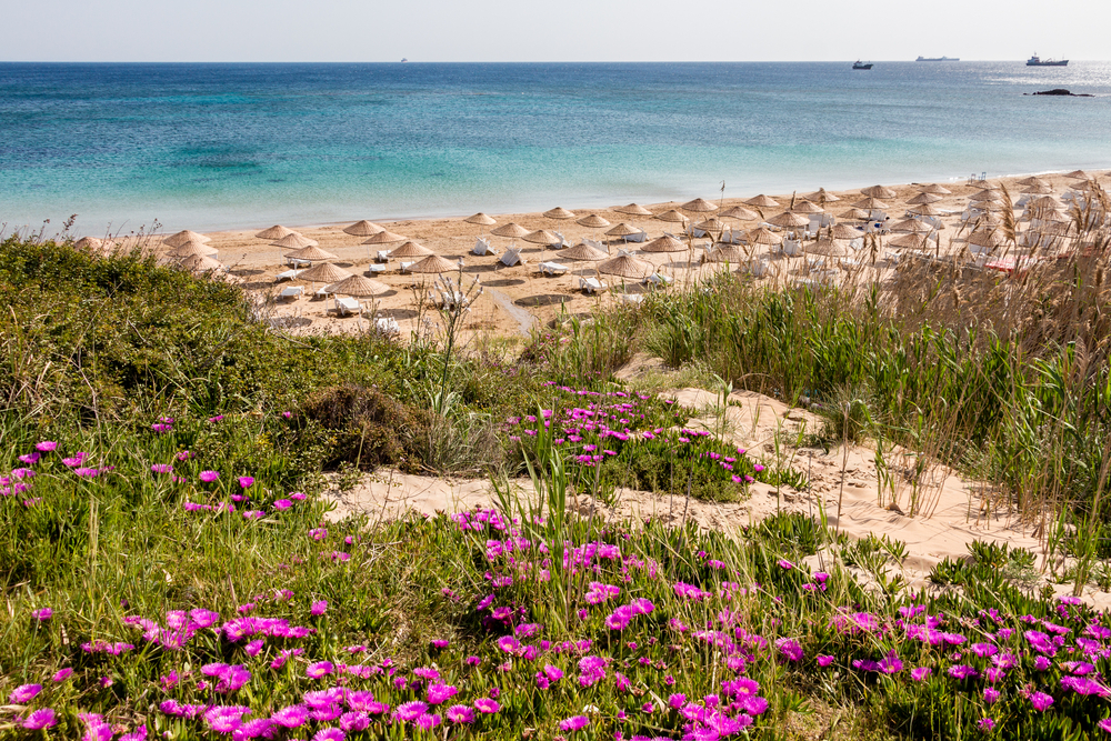 Otobuslu Bozcaada Assos Turu