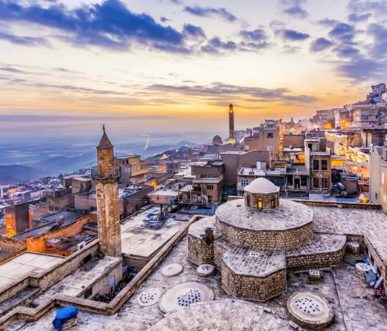 Mardin Turu Fiyatlari