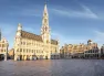 Pegasus HY ile Grand Benelux & Paris & Alsace ve İsviçre Turu BSL-AMS