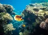 Sharm el Sheikh Turu 3 Gece THY ile TK700-TK701(23 Nisan hareketli)