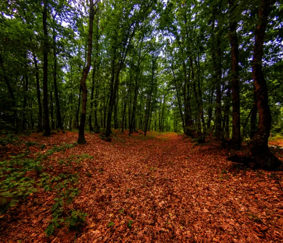 Edirne Igneada Turu 2 1