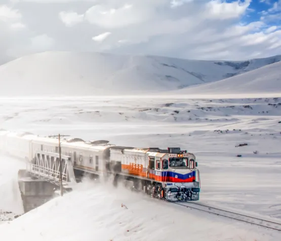 erzurum kars turu