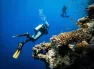 Sharm el Sheikh Turu 3 Gece THY ile TK700-TK701(23 Nisan hareketli)