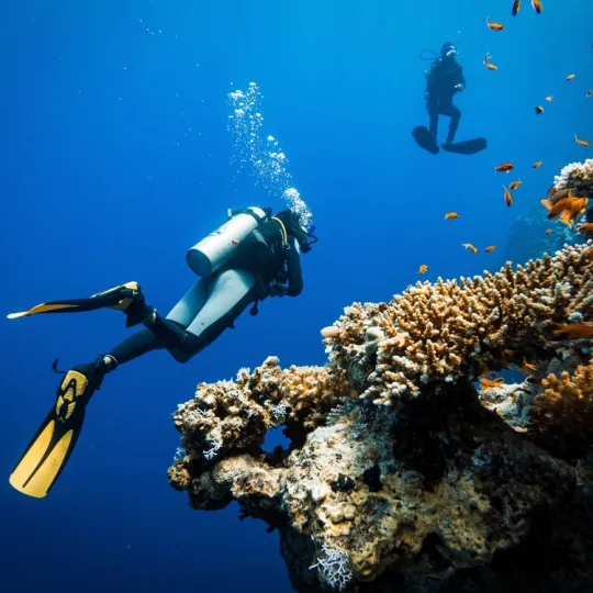 Sharm el Sheikh Turu 3 Gece THY ile TK700-TK701(23 Nisan hareketli)