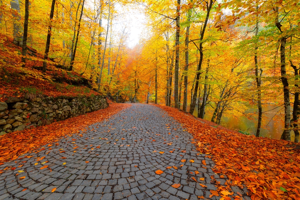 Yedigoller Fotograf Turu 1