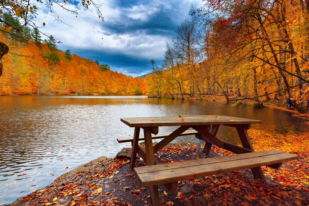 Yedigoller Fotograf Turu 6