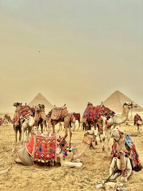 Görsel ALT Başlığı