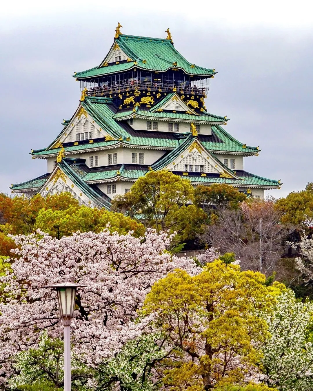 THY ile Grand Japonya Turu-Vizesiz-2026
