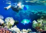 Sharm el Sheikh-Kahire ve İskenderiye Masalı 6 Gece – 7 Gün (6 Gece Otel Konaklaması) Ajet ile